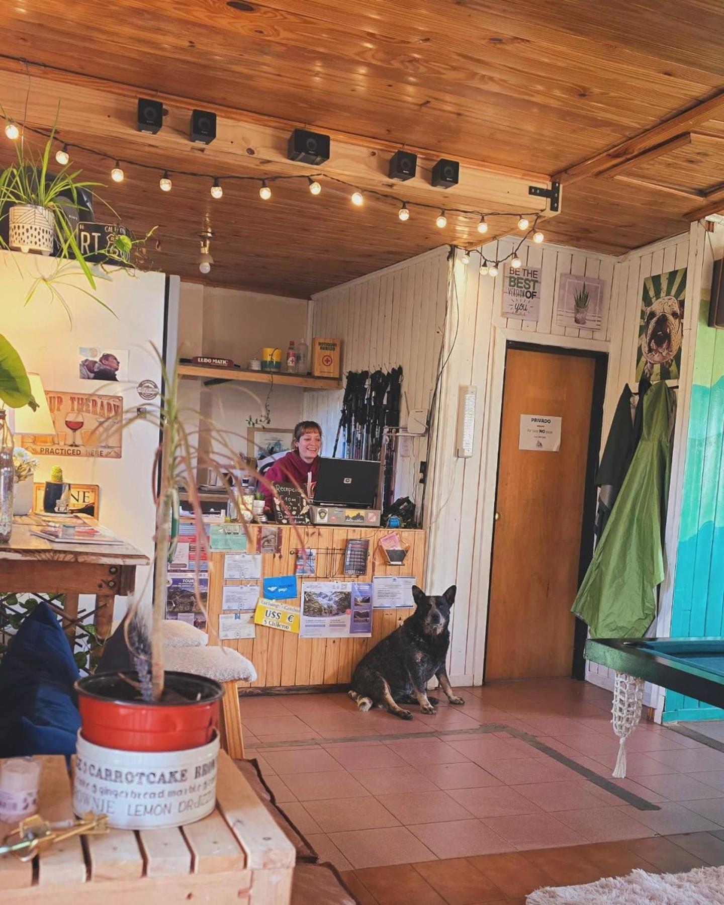 Hostel Del Lago, Habitaciones Privadas Y Cabanas エル・チャルテン エクステリア 写真